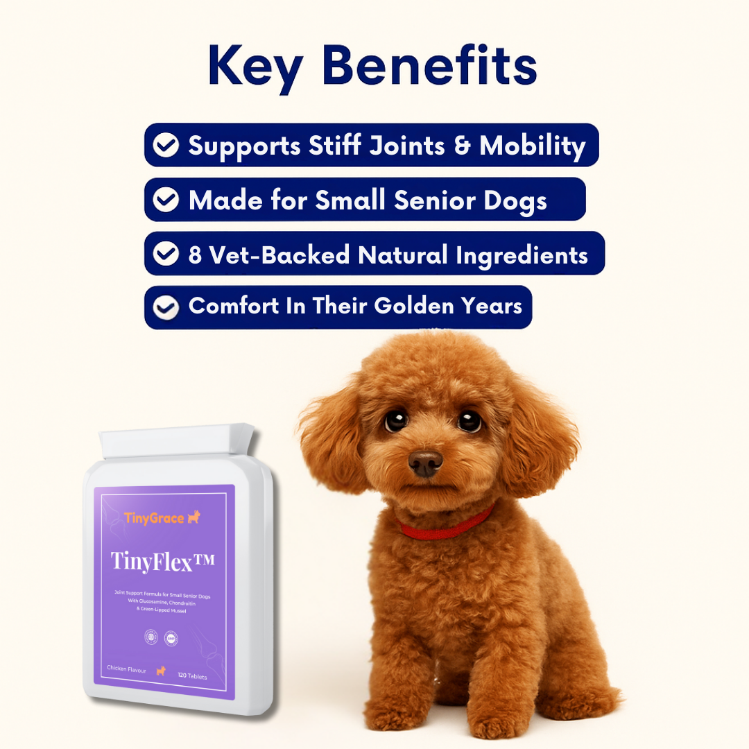 TinyFlex™ - Small Senior Joint Support