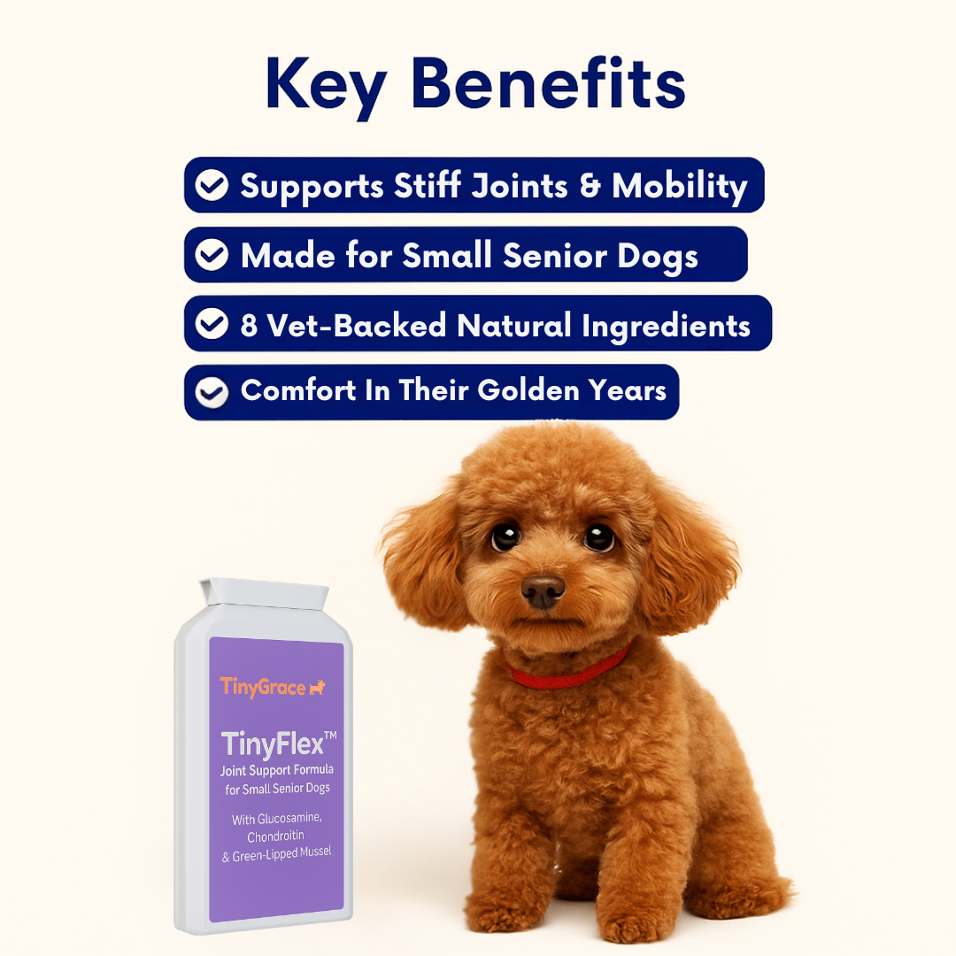 TinyFlex™ - Small Senior Joint Support