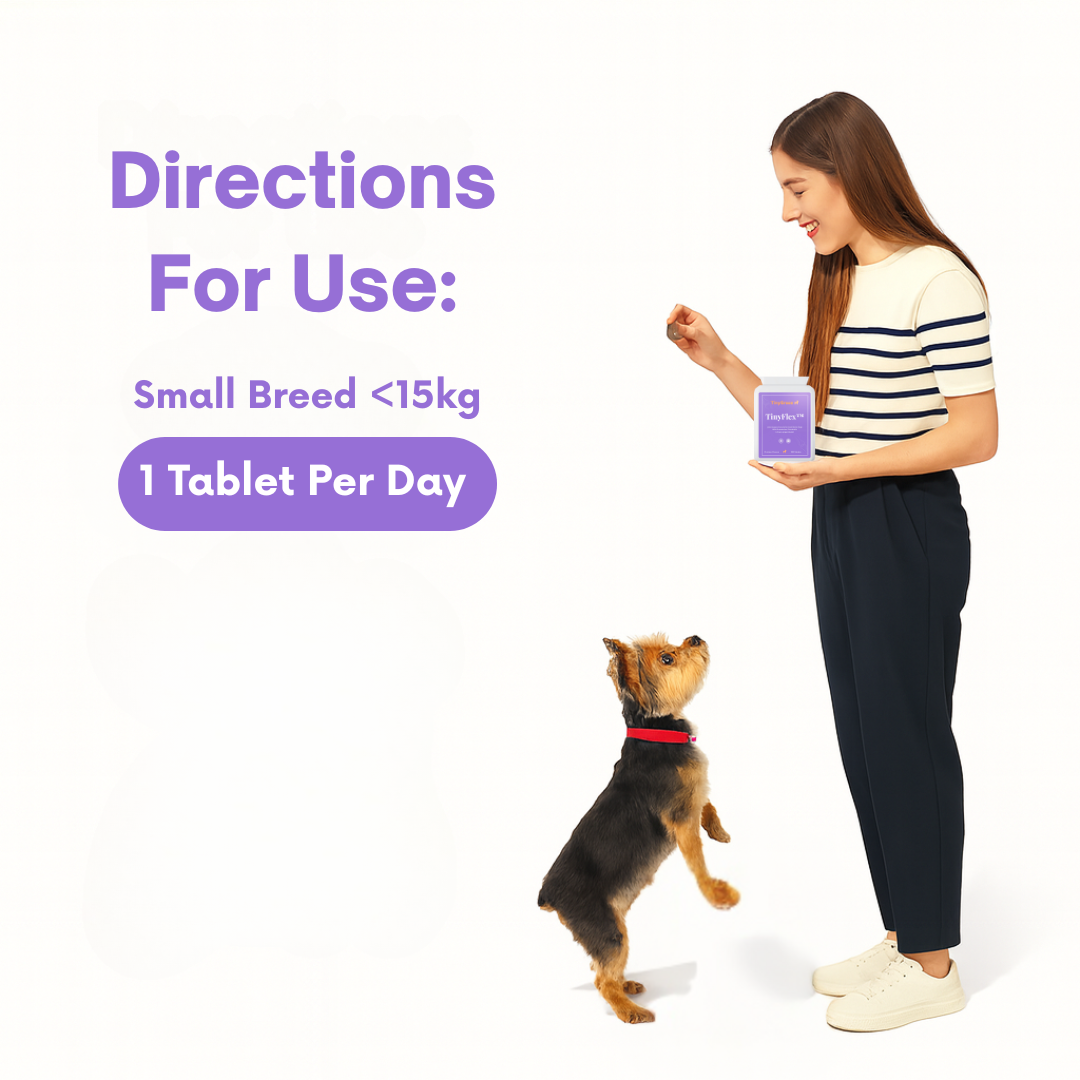 TinyFlex™ - Small Senior Joint Support