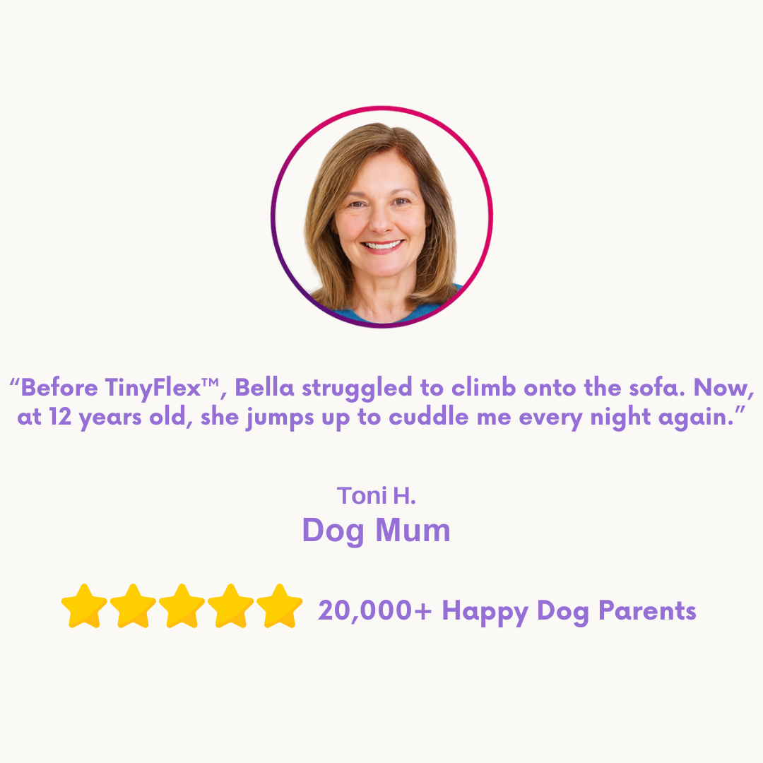 TinyFlex™ - Small Senior Joint Support