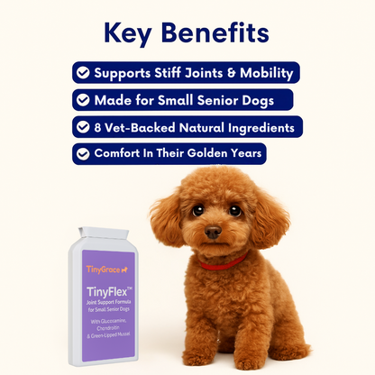 TinyFlex™ - Small Senior Joint Support
